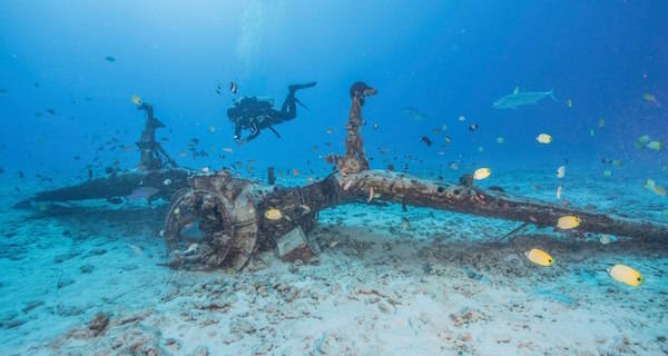 New Footage Shows Divers Recovering Bones From Sunken WWII Aircraft