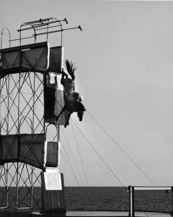 Horse Diving 21 Photos From The Odd, Sport