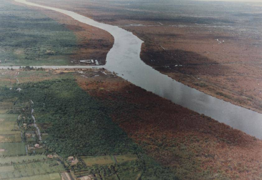 Agent Orange Defoliation Effects