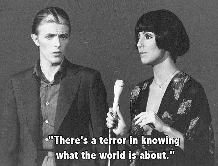 Bowie And Cher Mic