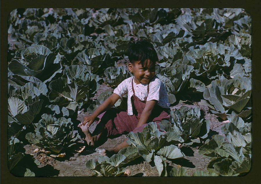 45 Heartbreaking Color Photos Of The Great Depression