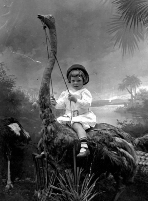 Child On Stuffed Ostrich