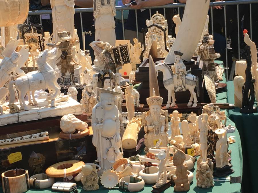 Confiscated Ivory
