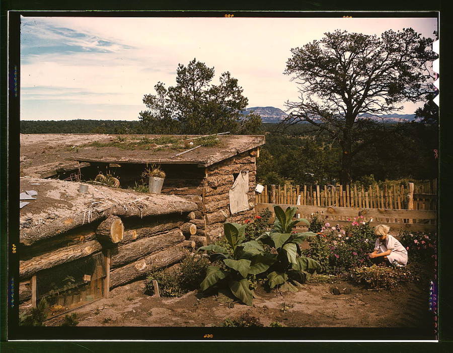 Jack Whinery Dugout Home