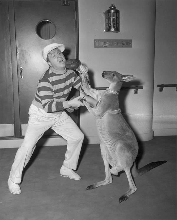 Kangaroo Boxing: 20 Bizarre And Disturbing Vintage Photos