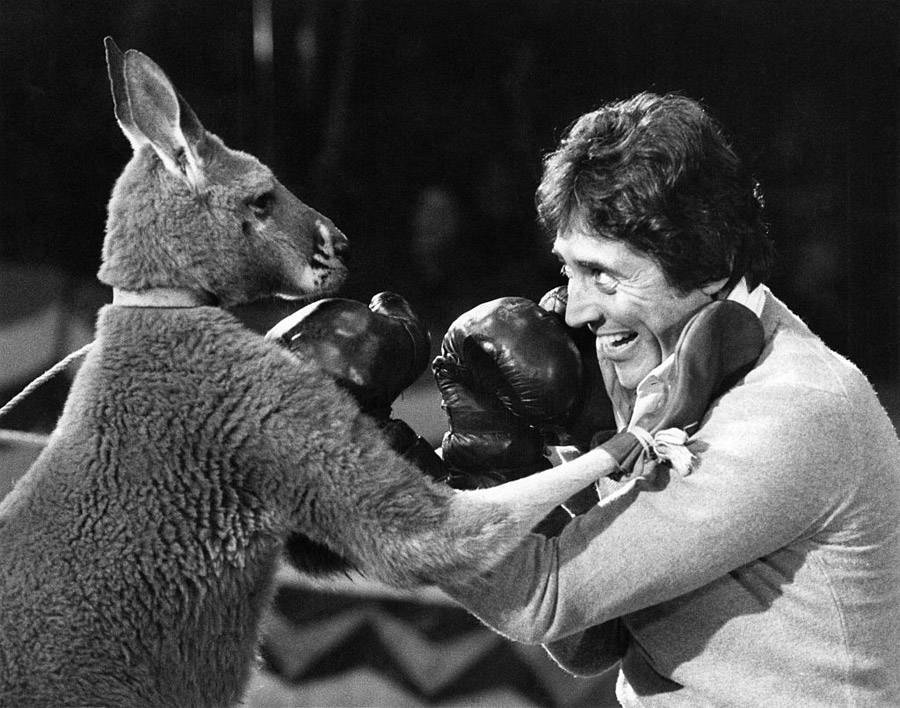 Kangaroo Boxing: 20 Bizarre And Disturbing Vintage Photos