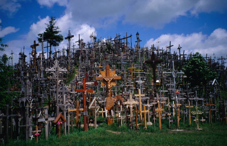 A Virtual Forest Of Crucifixes