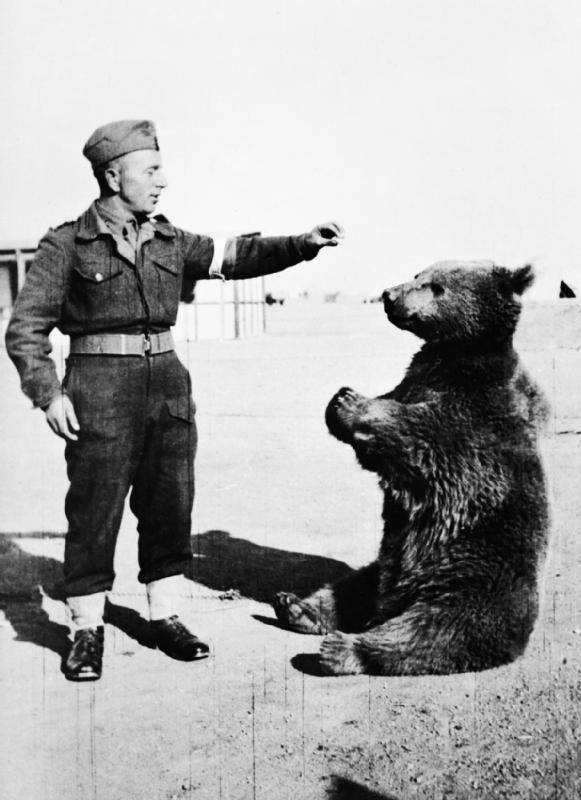 Army Mascots Wojtek the Bear