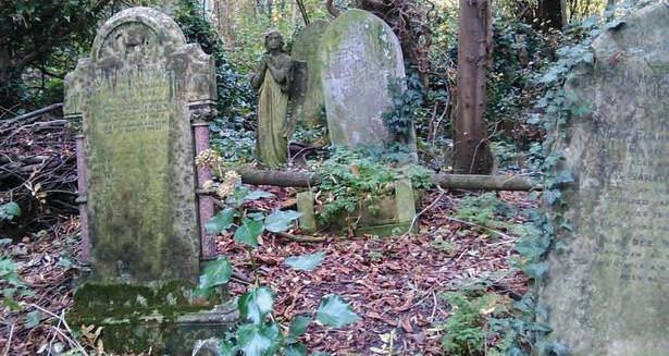 Cutbush Grave Crop