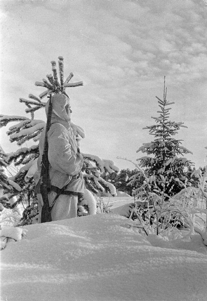 Finnish Soldier On Guard