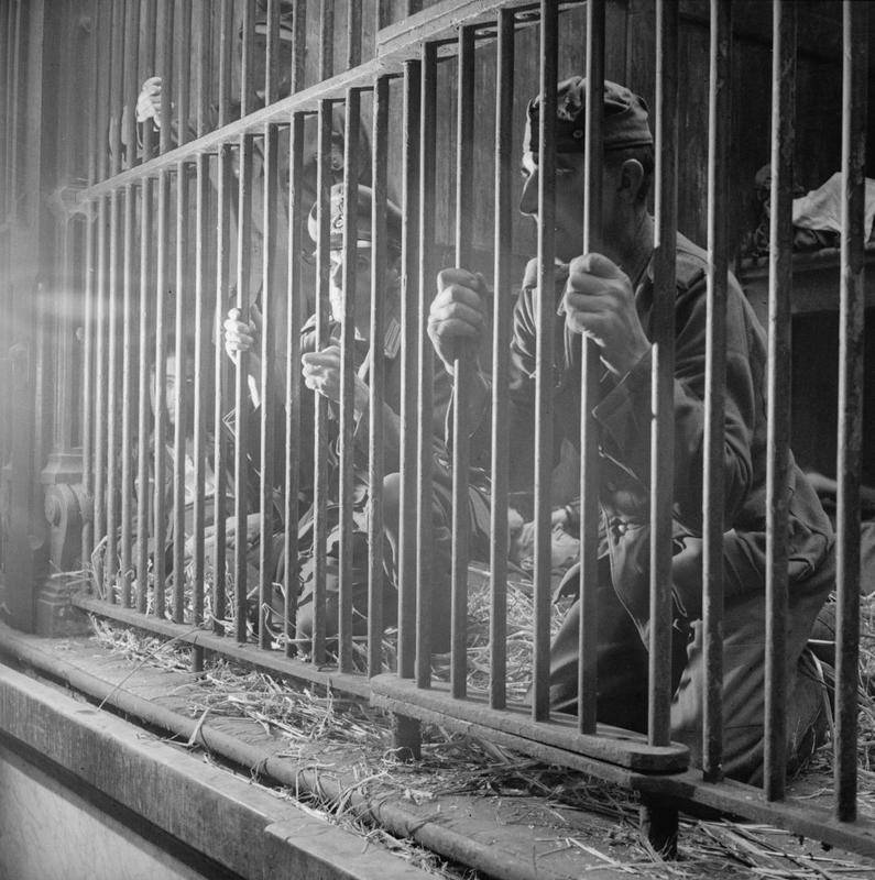 German and Belgian collaborators held in a lion's cage