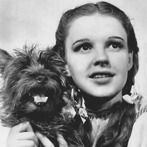 Judy Garland
