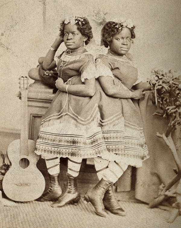 Mccoy Twins