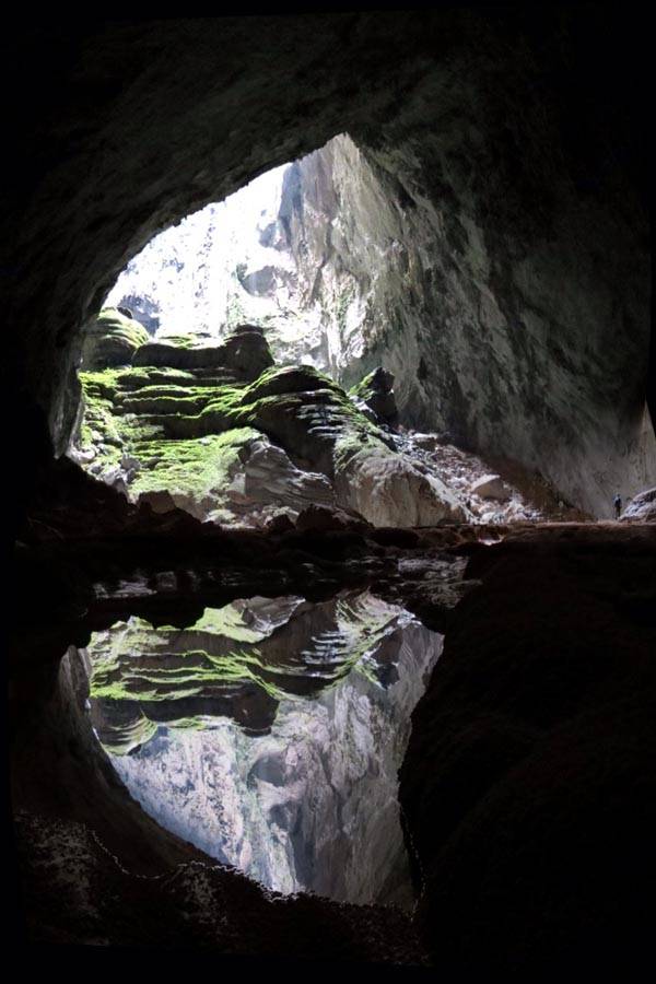 Mirrored Steps
