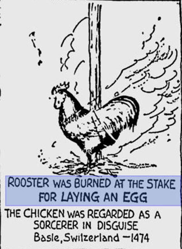 Rooster Burned At The Stake