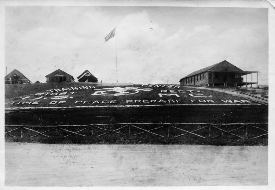 The Banana Wars How The U.S. Plundered Central America For Corporations