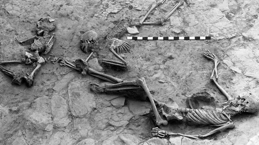 Victims Of The Hasanlu Massacre