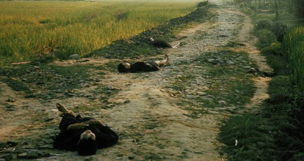 My Lai Massacre: 33 Photos Of The War Crime That Went Unpunished