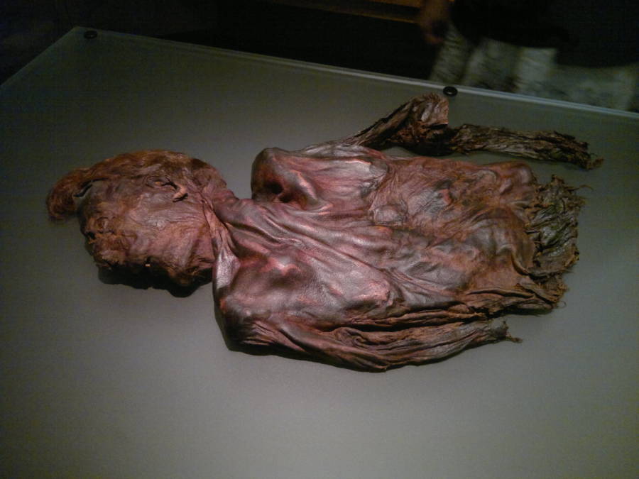 Bog Bodies Clonycavan Man