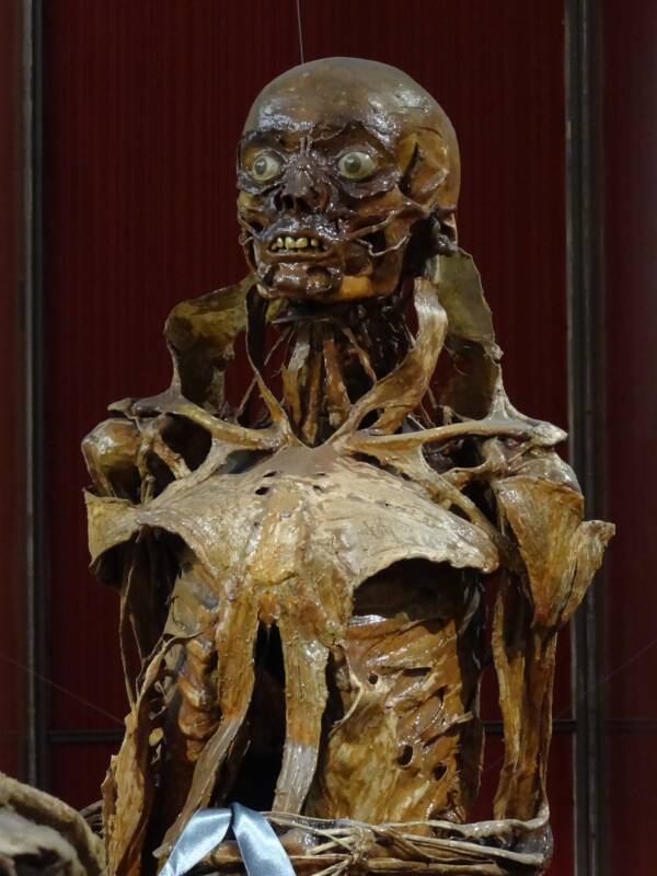 Bust Of Flayed Man