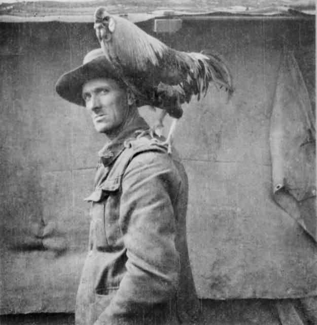 Australian Army's Jack The Chicken