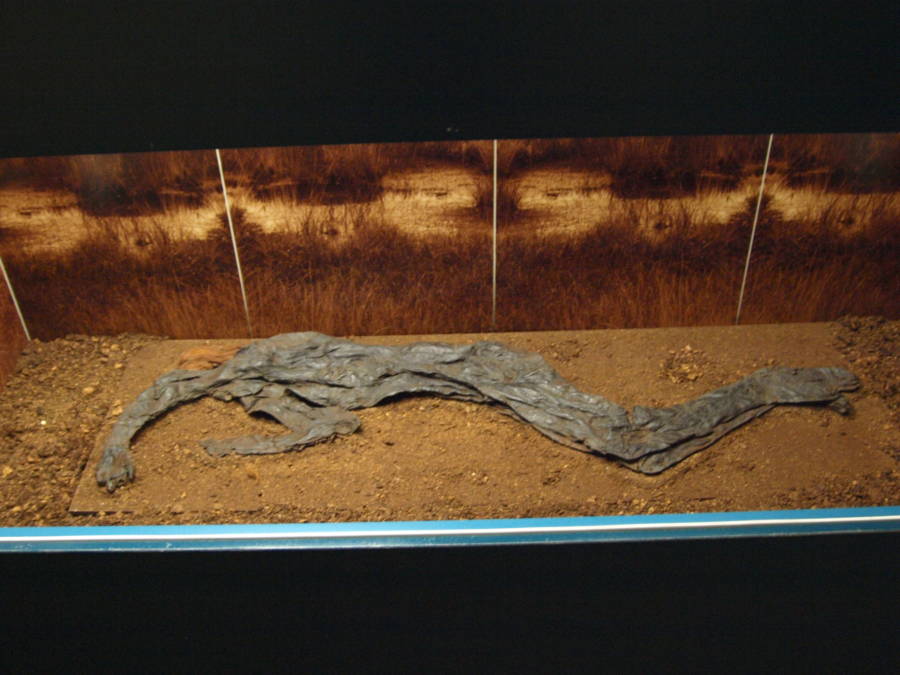 Bog Bodies: See The Tollund Man And Other Mummies Made By Nature