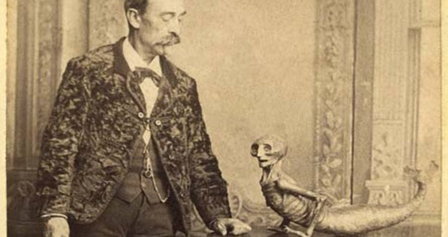 P.T. Barnum's Feejee Mermaid