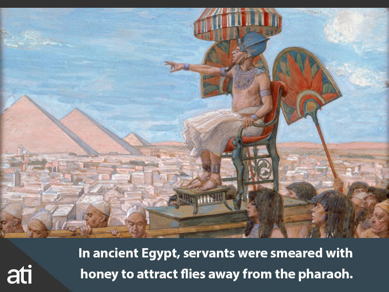 55 Interesting History Facts You Won t Learn Anywhere Else