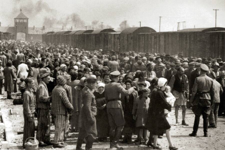 Hungarian Jews At Auschwitz