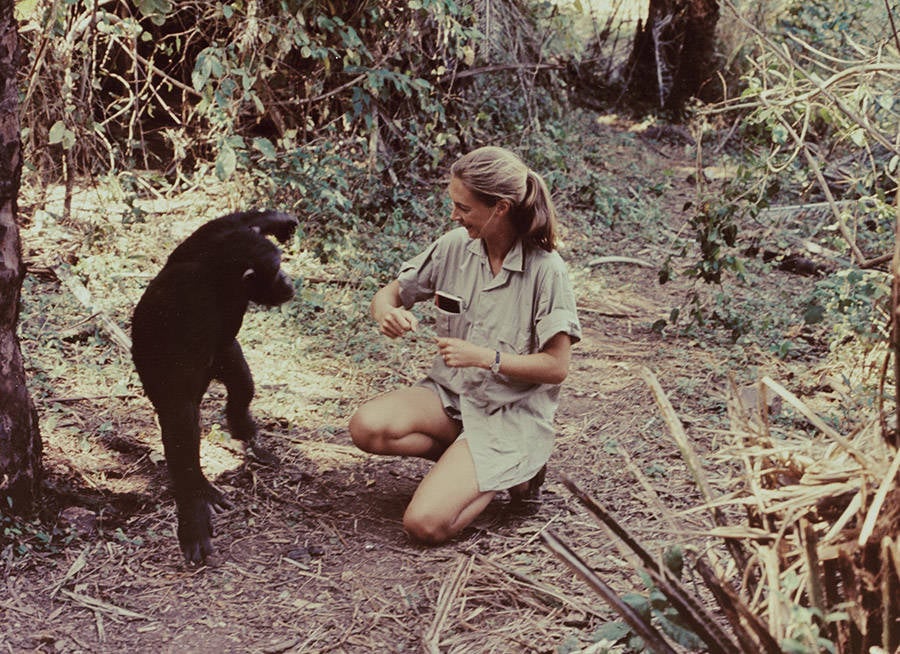 Jane Goodall On Bigfoot