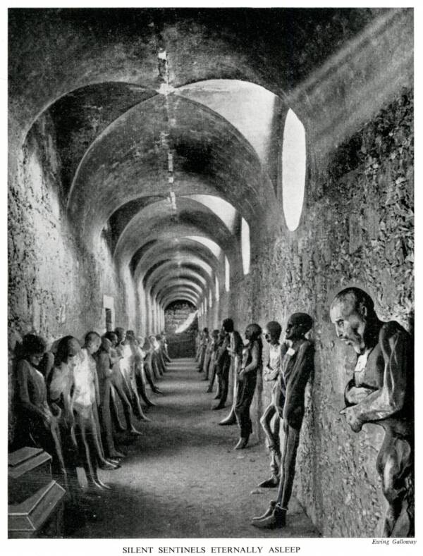 Mummies of Guanajuato Postcard Vintage Mexican Mexico Travel