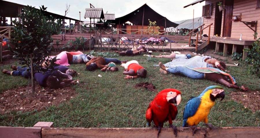 Parrots Facing Away