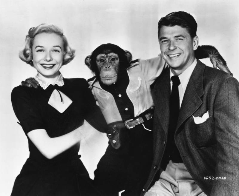Reagan Bonzo