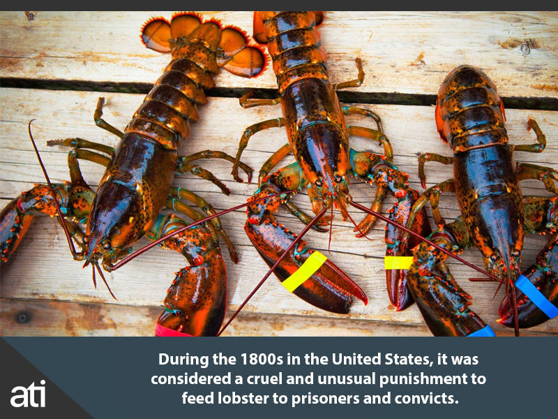 Strange History Facts Serving Lobster
