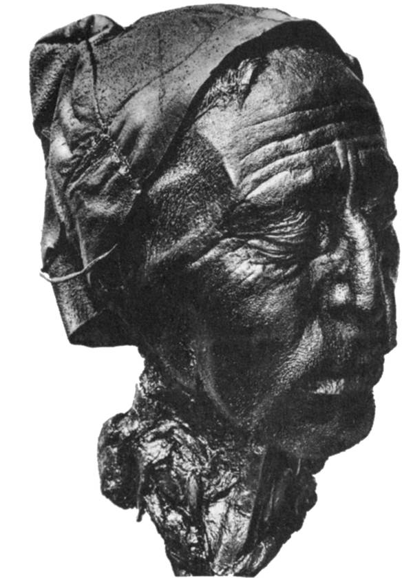 Tollund Man's Head