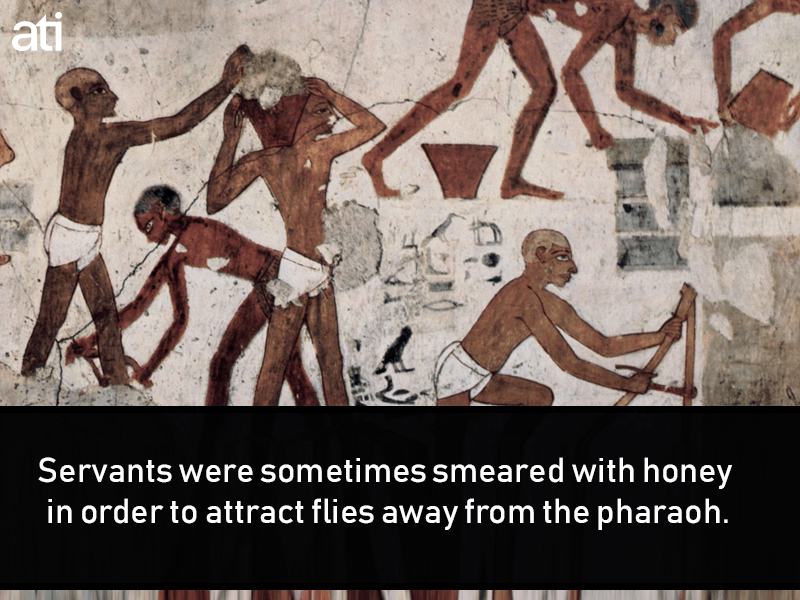 https://allthatsinteresting.com/wordpress/wp-content/uploads/2017/11/ancient-egypt-facts.png