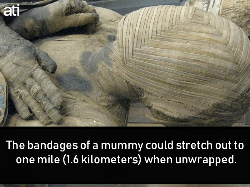 Bandages Of Mummies