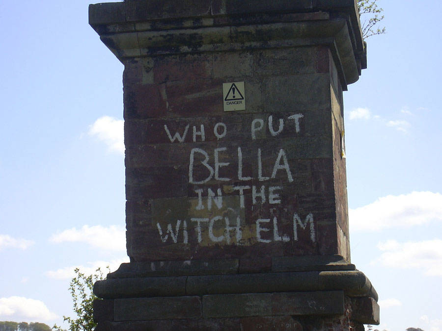 Who Put Bella in the Wych Elm