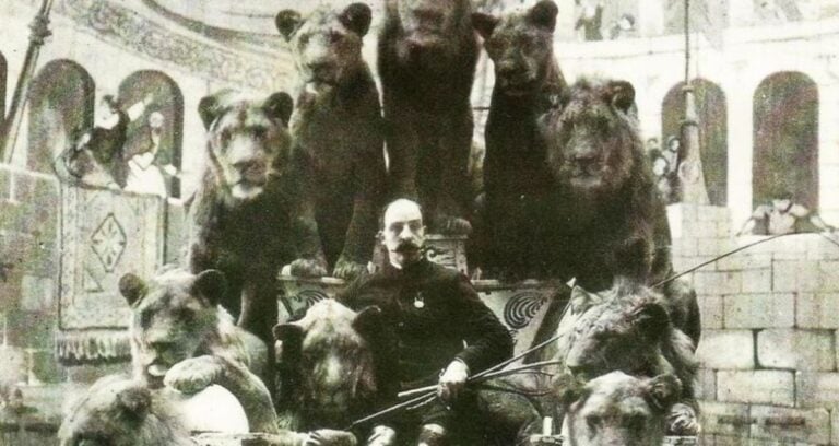 Jack Bonavita Featured