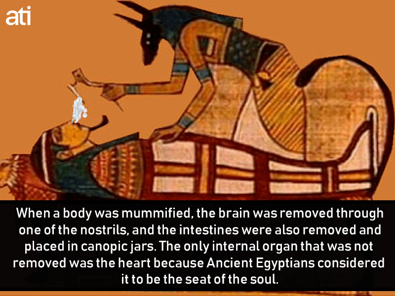 44 Ancient Egypt Facts That Separate Myth From Truth 