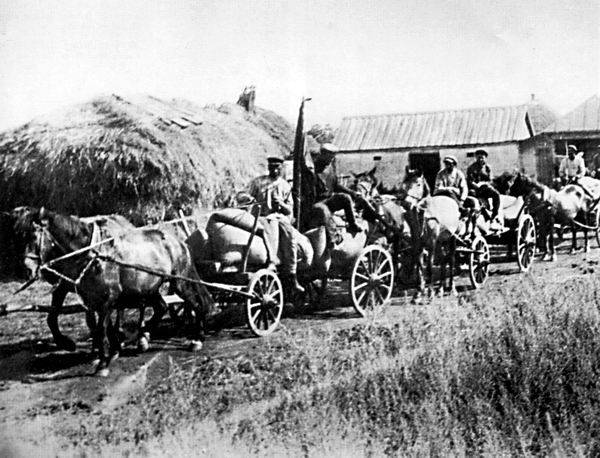A "Red Train" of carts is sent out by the Soviet government to take food away from the Ukrainian people. Oleksiyivka, Ukraine. 1932.