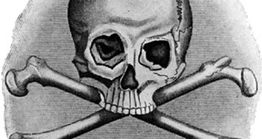 Skull And Bones Society