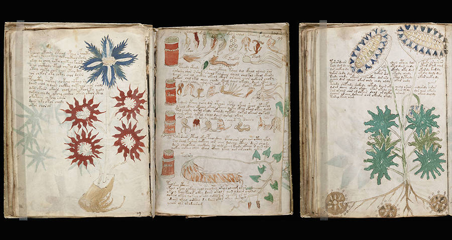 Archaeological discoveries Voynich Manuscript pages