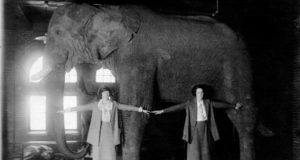 Two students with stuffed Jumbo