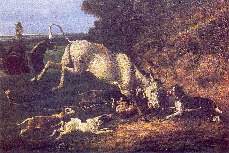 Donkey Baiting