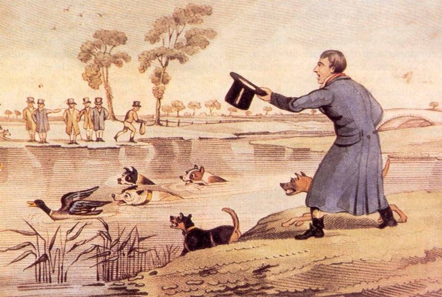 Duck Baiting