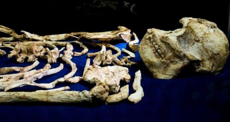 little-foot-3-7-million-year-old-hominid-skeleton-unveiled