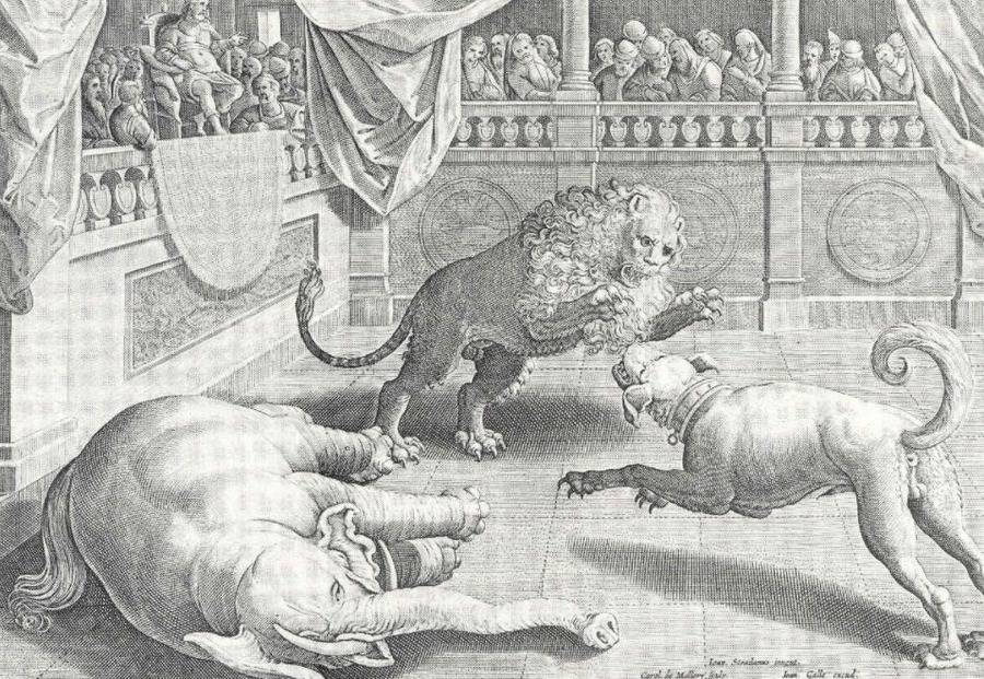 Lion Baiting