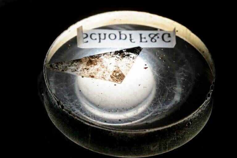 Microfossil Sample