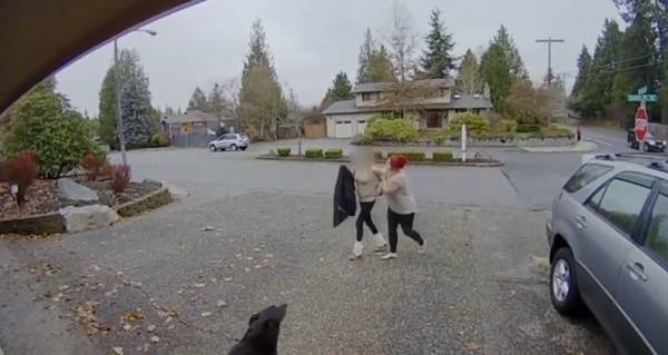 Nanny Chases Down Package Thief After Getaway Car Leaves Her Behind Video 5665